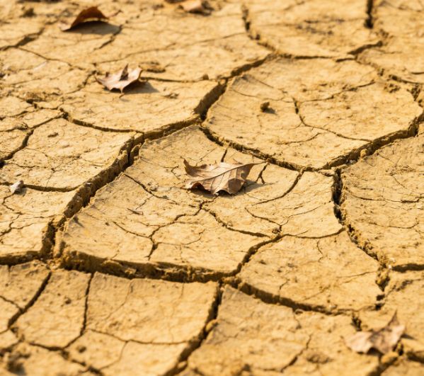 智能土壤氧化還原測定儀：精準監測濕度，優化農業灌溉與排水管理