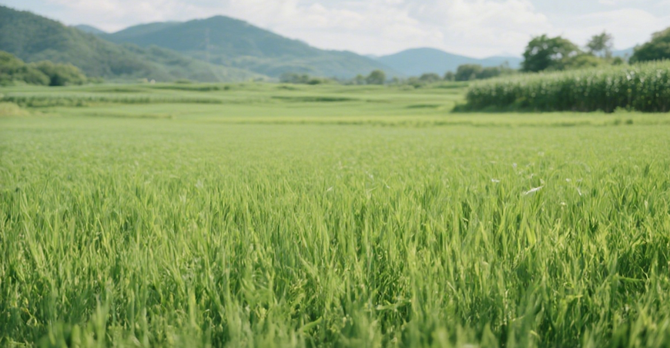 測土配方施肥儀好用嗎？輕松滿足測土與配方施肥檢測需求