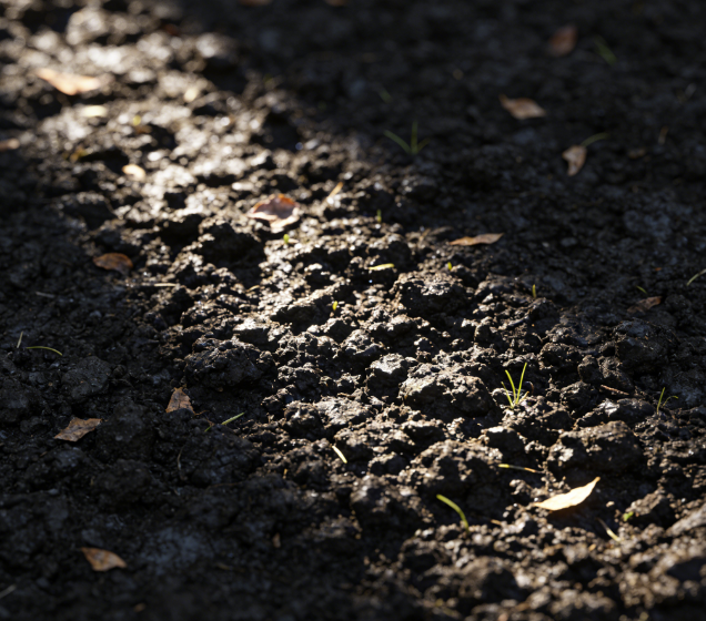 便攜式土壤重金屬測定儀多少錢？2026最新報價及采購指南