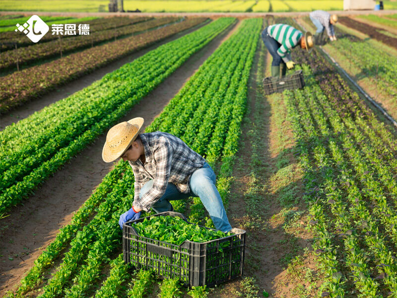 種植大戶選土壤養分檢測儀，哪些功能才實用？