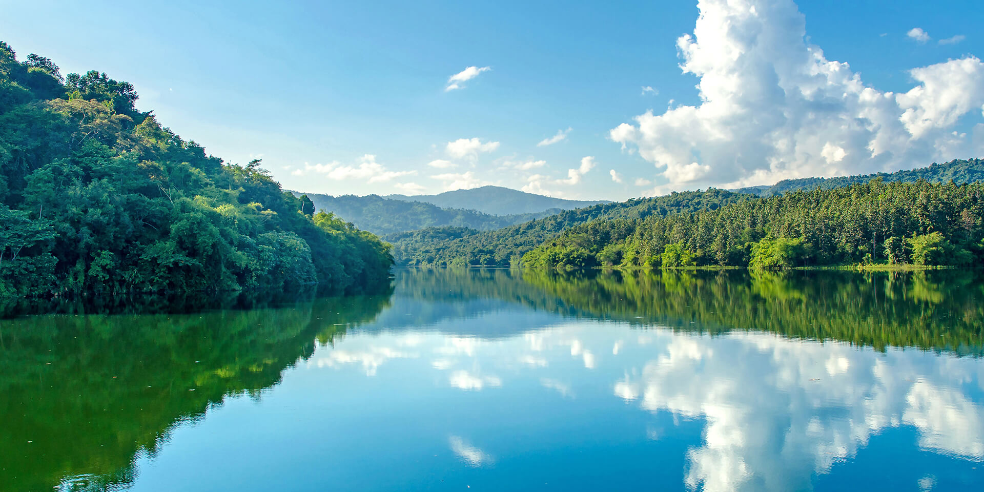 土壤養(yǎng)分檢測(cè)